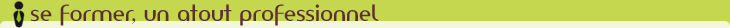 Formations linguistiques, visite guidée châteaux vallée de la loire, traduction et guide interprète à Tours : linguatours